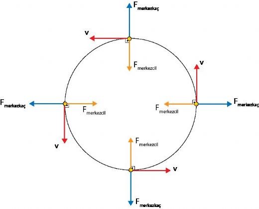 Düzgün Dairesel Hareket