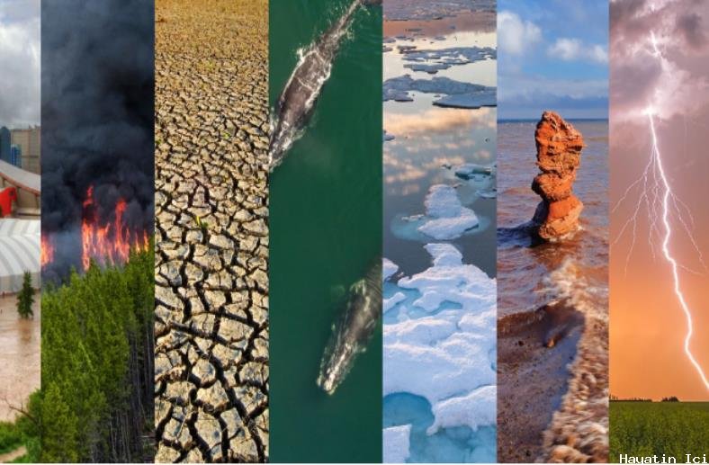 Dünya'nın Değişen İklimi: Doğal Çeşitlilik ve İnsan Etkisi