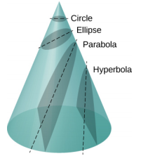 Bir koni ve konik kesitleri gösterilmiştir. Üst kısımda yatay bir kesim gölgelendirilir ve gölgelendirme boyunca kesikli bir çizgi gösterilir. Bu bölüm daire olarak etiketlenmiştir. Bunun altında çapraz bir kesim ve çizgi gösterilir. Çizgi ve kesik, koninin kenarlarını keser. Bu bölüm elips olarak etiketlenmiştir. Sonraki, koninin kenarlarını ve altını kesen ve parabol olarak etiketlenen çapraz bir kesim ve çizgidir. Son bölüm, hiperbol etiketli dikey bir çizgi ve gölgeli bir kesimdir